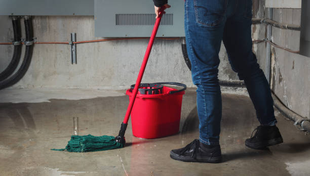 Best Sewage cleanup and water damage restoration  in Lyons, CO