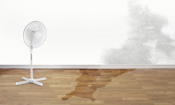 Best 24/7 water damage repair  in Lyons, CO