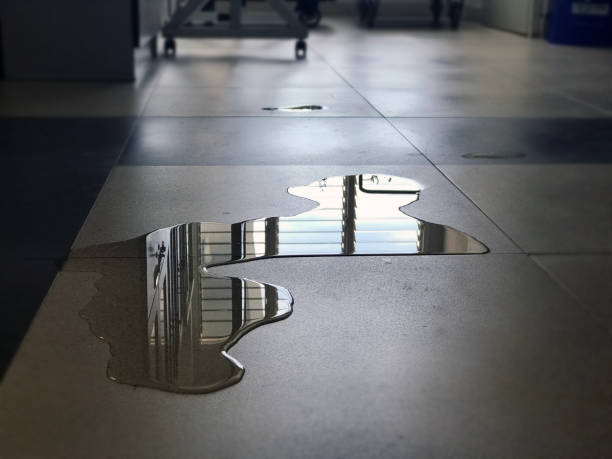 Best Commercial water damage restoration  in Lyons, CO