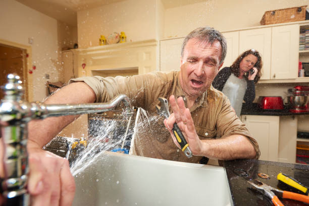 Best Local water damage restoration  in Lyons, CO